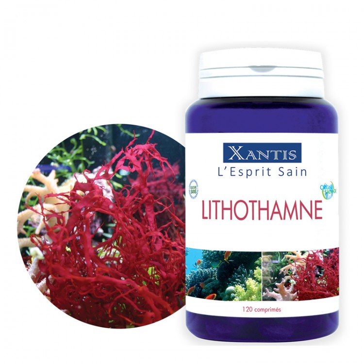 LITHOTHAMNE LITHOTHAMNE