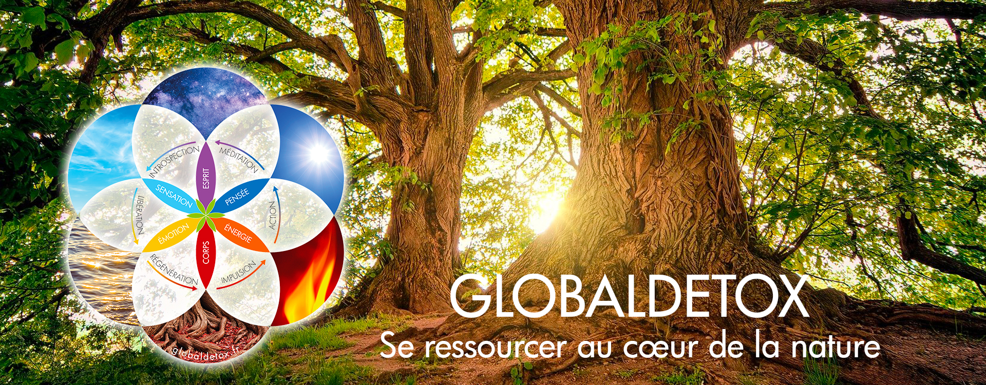 Bandeau retraites GLOBALDETOX